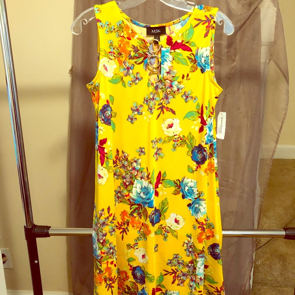 Dress Barn dress